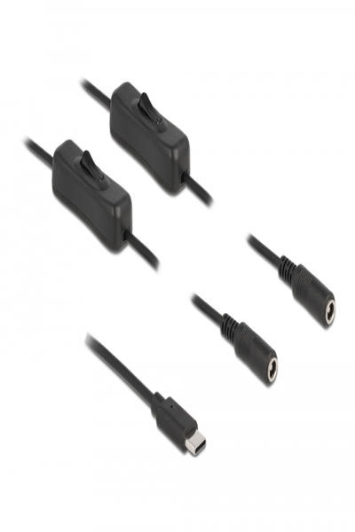 Delock Strömfördelare - 24-stifts USB-C (hane) till DC-uttag 5,5 x 2,1 mm (hona) - 86800