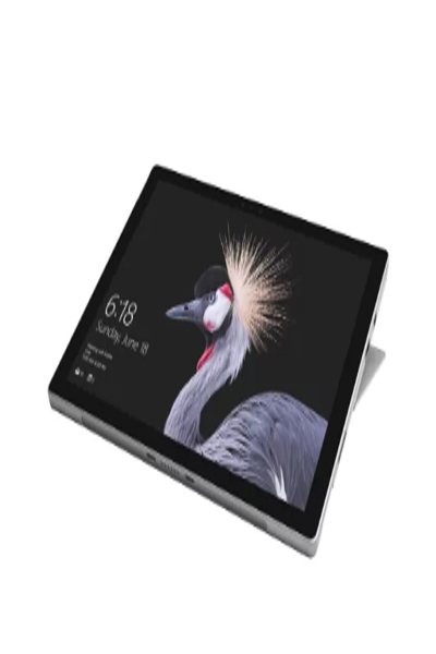 Microsoft Surface Pro-surfplatta - GWP-00003