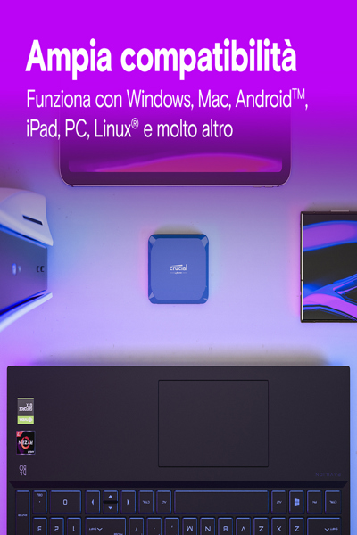 Crucial X10 Encrypted SSD - CT1000X10SSD9