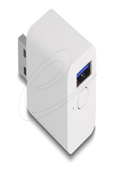 Delock WLAN EASY-USB Schalter Smart Life - 11832