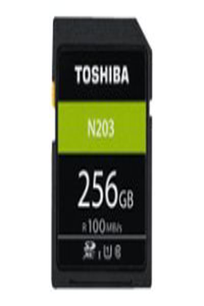 Carte mémoire flash haute vitesse N203 Toshiba