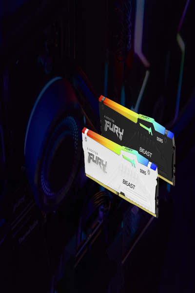 Kingston FURY Beast RGB - DDR5 - KF564C32BBEAK2-64