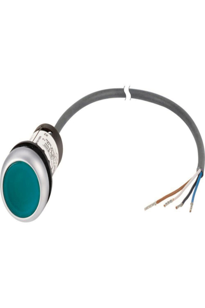 Bouton poussoir plat vert Eaton C22-DL-G-K10-24-P62 1 pièce.