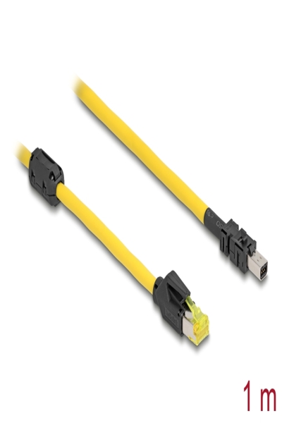Delock Kabel RJ45 Stecker Cat.6 zu Mini I/O D-Form Typ 2 - Cable - Network - 81250
