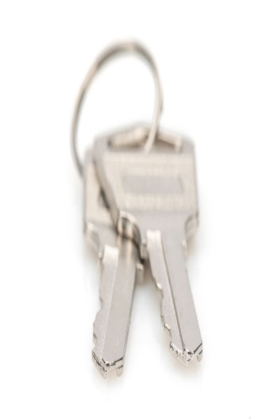 DIGITUS Laddskåpsnyckel - DN-45000-KEY