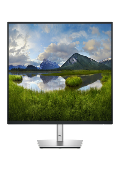 Dell P2425 24" LED-skärm - DELL-P2425