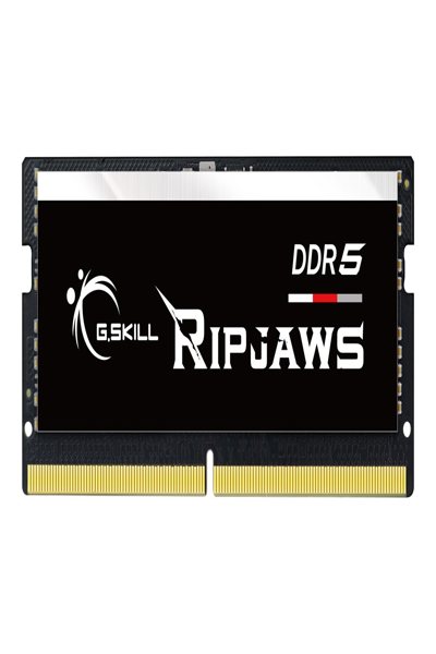 F5-5600S4040A16GX1-RS - F5-5600S4040A16GX1-RS