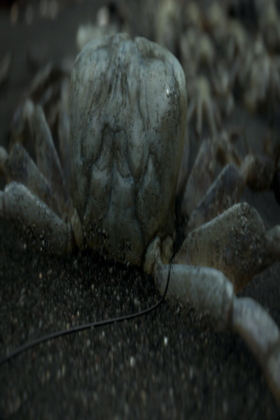 Sony Death Stranding PlayStation 4 M - 711719951704