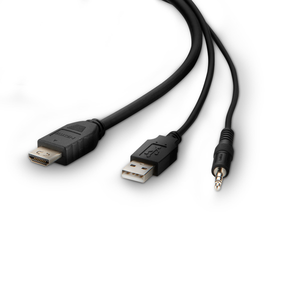 Belkin TAA HDMI to High Retention KVM Combo - F1DN1CCBL-HH10T