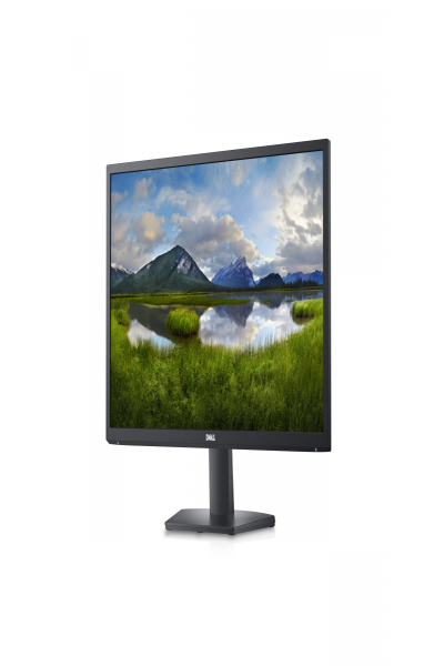 Dell SE2422H 24" LED monitor - 210-AZGT