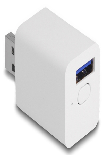 Delock WLAN EASY-USB Schalter Smart Life - 11832
