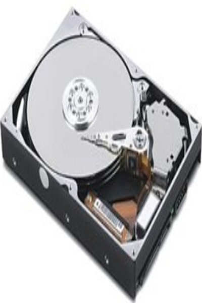 Lenovo 81Y9691 - 1 TB - 7200 RPM - 2.5" - SAS