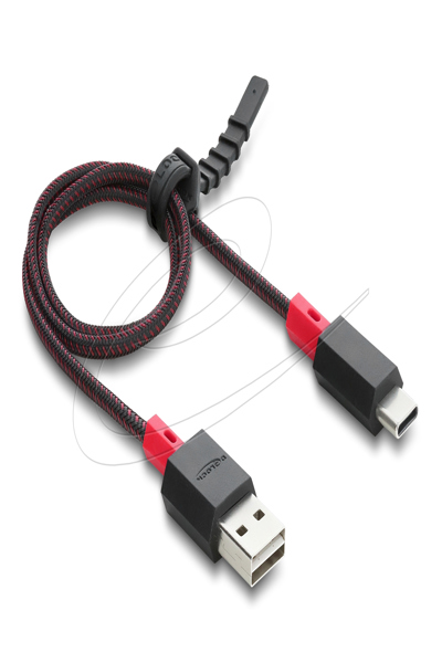 Delock Easy-USB 2.0 Cable Type-A Plug to USB Type-C Black - Cable - Digital - 81541