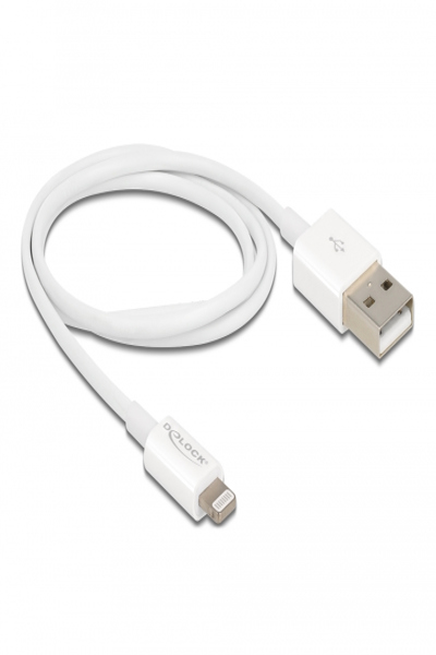 Câble Lightning Delock - Lightning mâle vers USB mâle