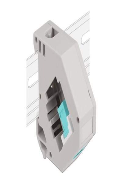 Delock Keystone-jackadapter för DIN-skena - 87173