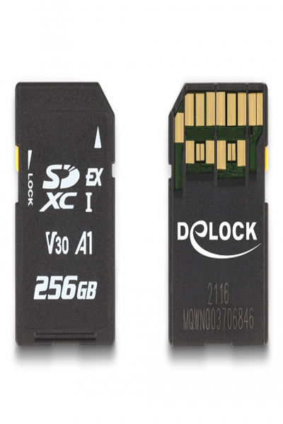 Carte mémoire Delock SD Express 256 Go - 256 Go - SD - UHS-I - 858 Mo/s - 804 Mo/s - Classe 3 (U3)