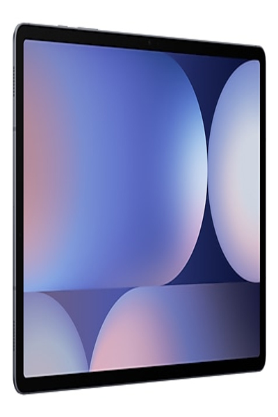 Samsung Galaxy Tab S 256 GB - 12.4" Tablet - 2 GHz 31.5cm-Display