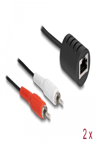 Adaptateur audio Delock - RJ-45 femelle vers RCA x 2 mâles