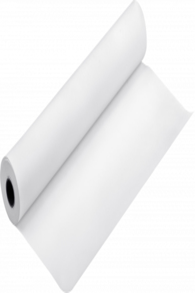 Film mat rétroéclairé Epson - 24" x 30,5 m - 280 g/m² - Mat - 280 g/m² - Suisse - - SureColor SC-T7200D-PS - SureColor SC-T7200D - SureColor SC-T7200-PS - SureColor SC-T7200 -... - 61 cm - 30,5 m
