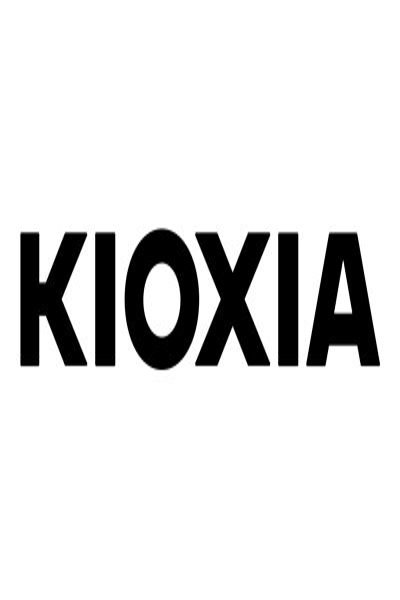 Kioxia PM7-R Series KPM71RUG30T7