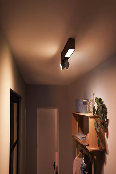 Philips White & Color Ambiance Centris Deckenleuchte schwarzÃ¢â‚¬Â¢ 2er-Spot