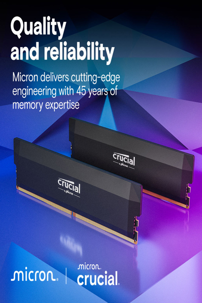 Crucial Pro - DDR5 - Module - DIMM - 32 Go - DDR5