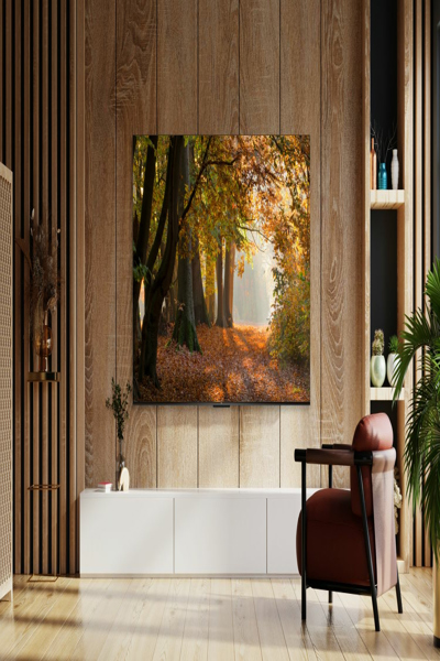 TCL P655 75P655 75" 4K LED Google TV - 75P655