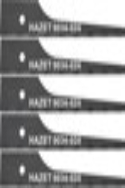 HAZET 9034-024/5 Lames de scie sabre universelles (5 pièces)