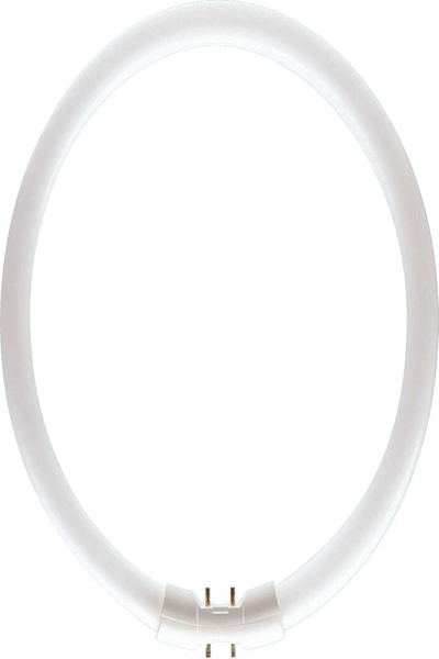 Philips MASTER TL5 22.3W 2GX13 Circular - 64095625