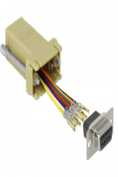 Delock Adapter Sub-D 9-polig hona till RJ45 hona monteringssats - 66164