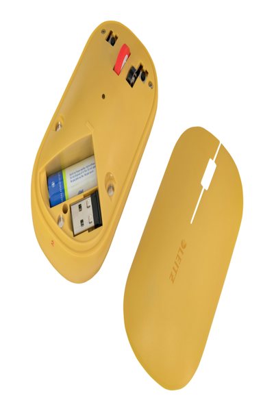 65310019