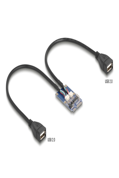 Delock Mini PCIe Adapter full size zu 2xUSB 2.0 Typ-A Buchse - Adapter - Digital - 64346