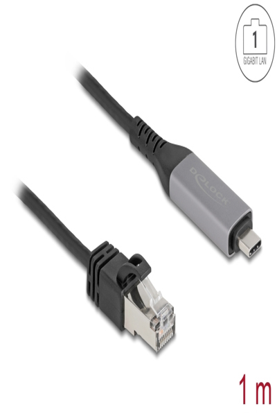 Delock USB LAN Cable Type-C to RJ45 Gigabit Ethernet - Cable - Digital
