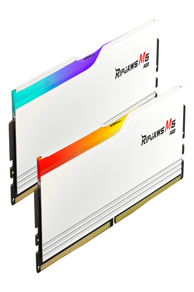 F5-6000J3636F16GX2-RM5RW