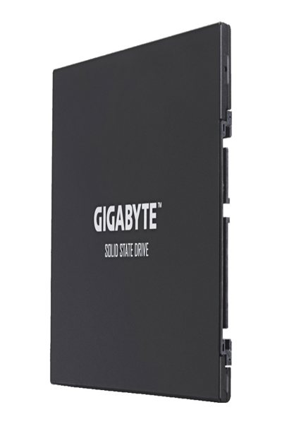 GP-GSTFS30256GTTD