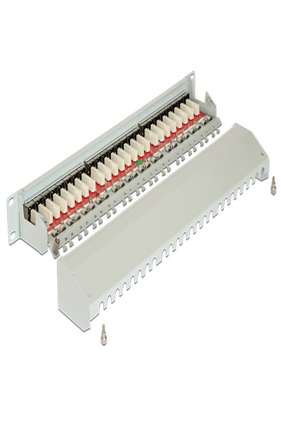 Delock Patchpanel - CAT 6a - 43319