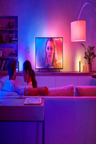 Bande dégradée Philips Hue Play 65" - 929002422801
