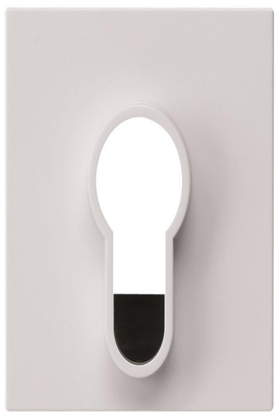 GIRA cache interrupteur à clé/bouton sans système poussoir 55 blanc pur 866403