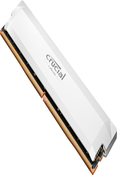 Crucial Pro OC - DDR5 - Module - DIMM - 32 Go - DDR5