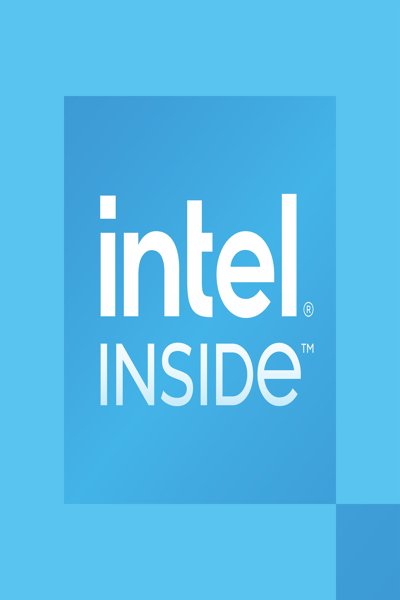 Intel for Desktop 300 - 3.9 GHz