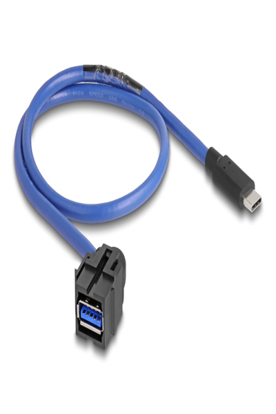 Delock USB-kabel - 24-stifts USB-C (hane) rak till USB Typ A (hona) vinklad, keystone - 88156