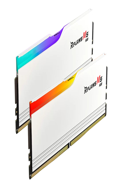 F5-5600J4040D48GX2-RM5RW - F5-5600J4040D48GX2-RM5RW