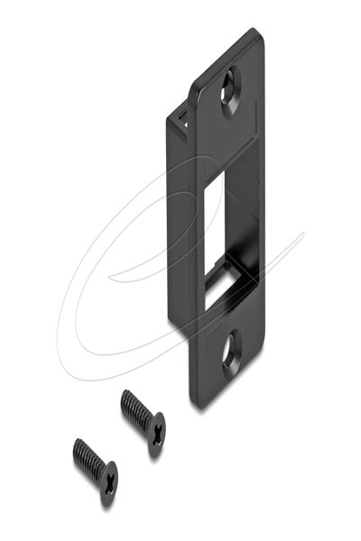 Delock Modular Insert Holder Network - 67336