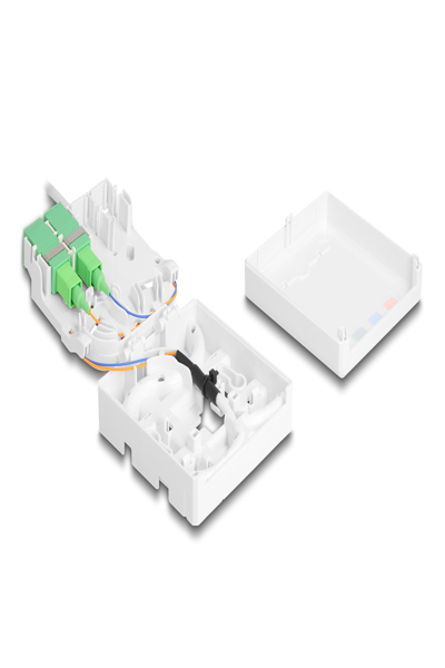 Delock Fiber-optic connection box (horizontal / vertical) - 85933