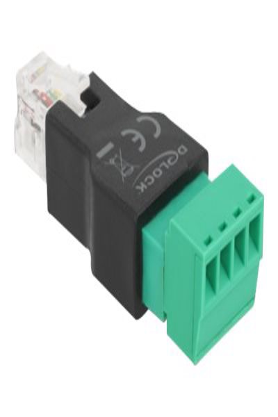 Adaptateur réseau Delock - RJ-11/RJ-14 (M) vers bornier 4 broches (F)
