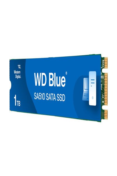 WD Blue SA510 WDS100T3B0B-00AXS0