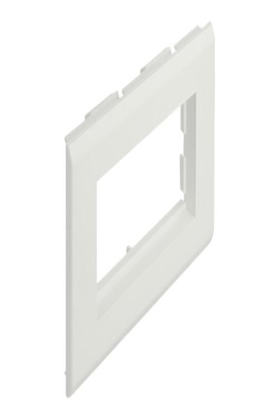 Delock Easy 45 - cadre - blanc, RAL 9003