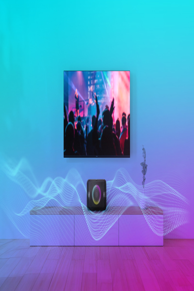 Panasonic SC-BMAX5E-K portable party speaker - SC-BMAX5E-K