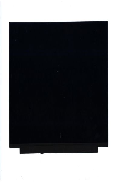 Lenovo FRU LGD LP156WFH-SPR2 15,6 pouces Full HD