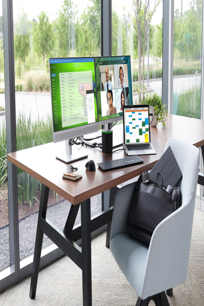 HP ELITEDISPLAY E243 23.8" Monitor - 1FH47AA#ABU